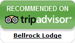 Recommended on TripAdvisor